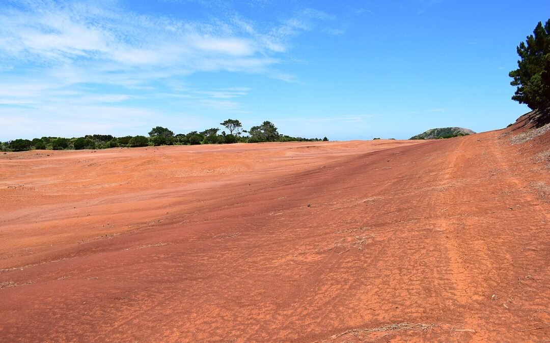 Barreiro da Faneca