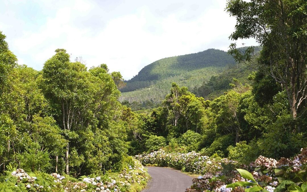 Serra de Santa Bárbara