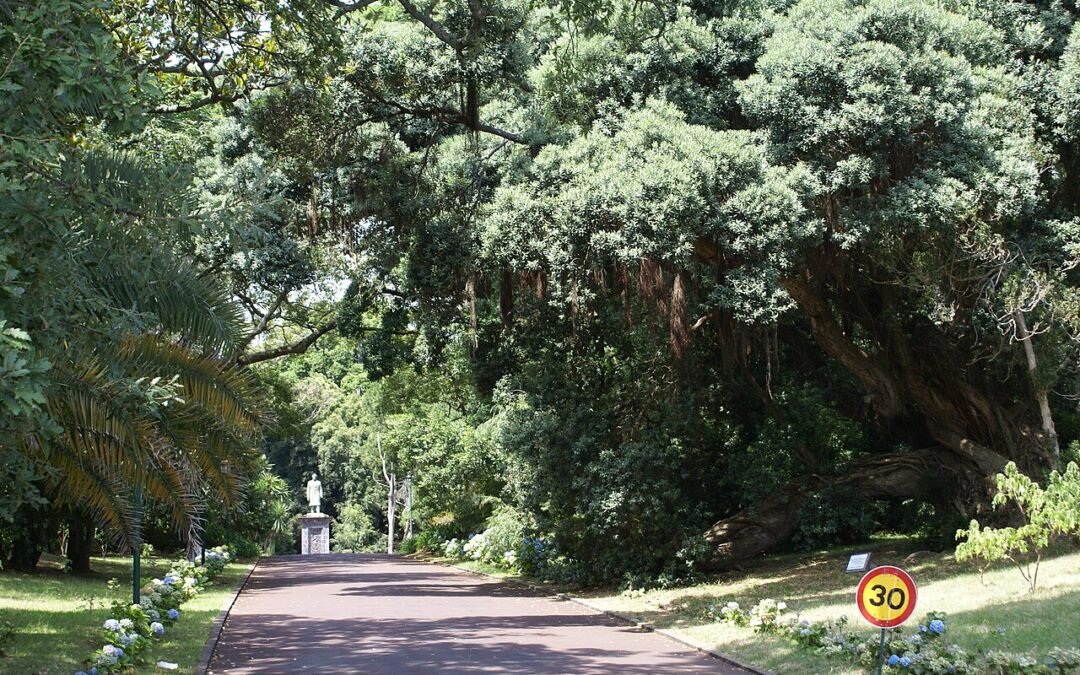 José do Canto Garden