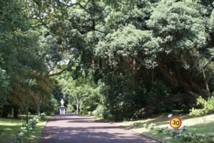 José do Canto Garden