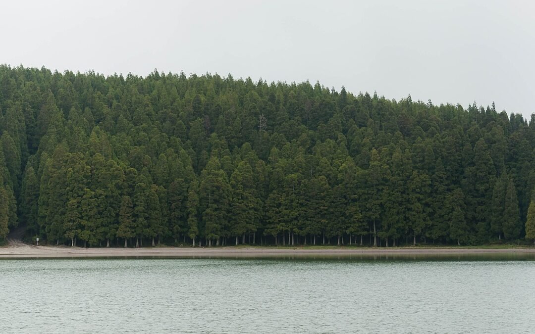 Lagoon of São Brás