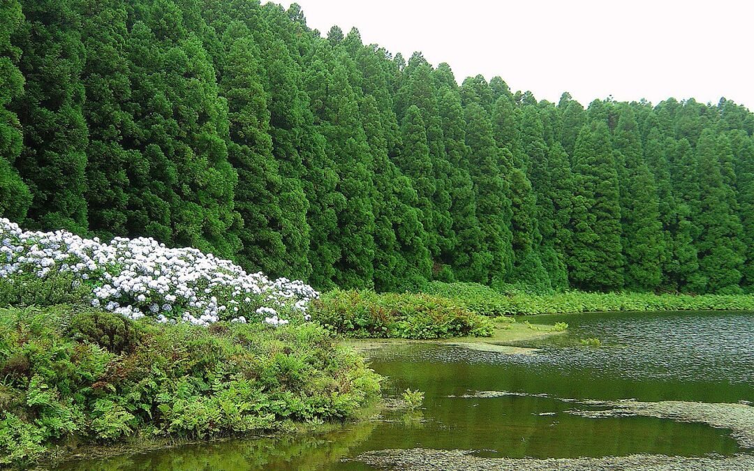 Lagoa do Canário