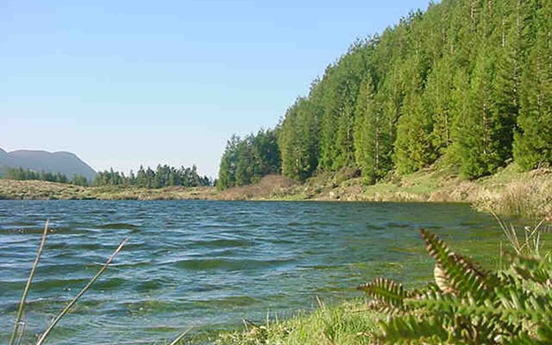Lagoa do Negro