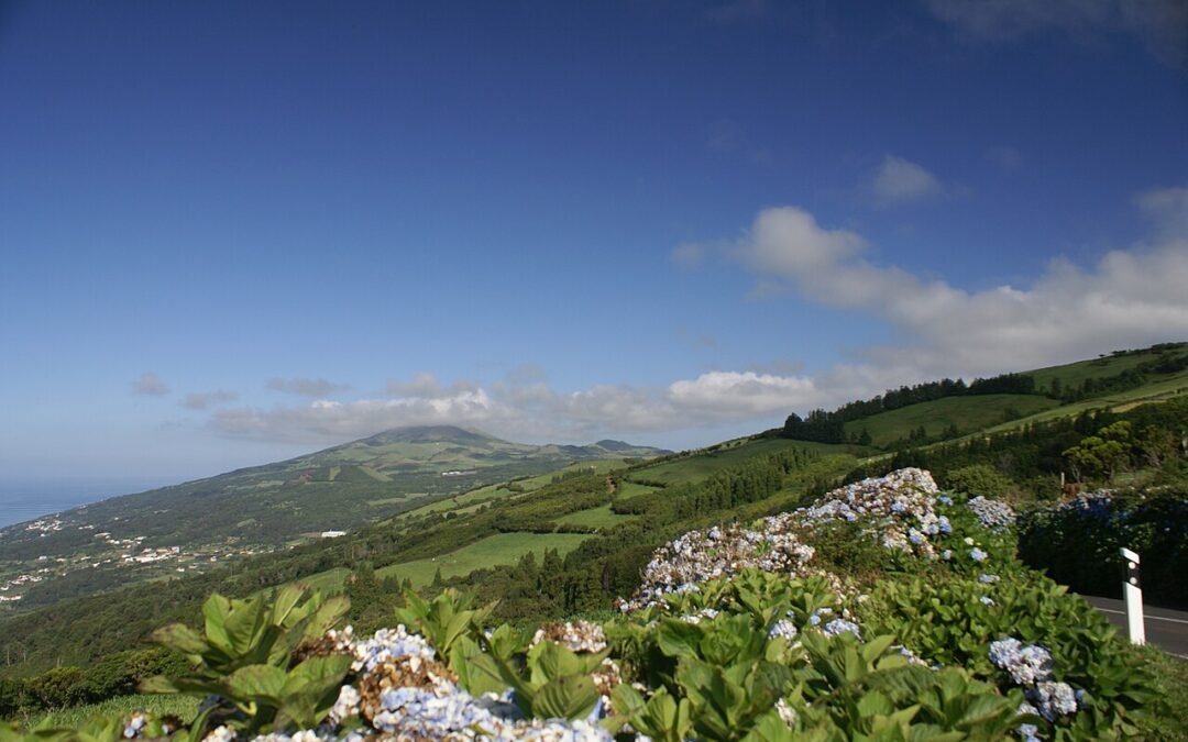 Calheta