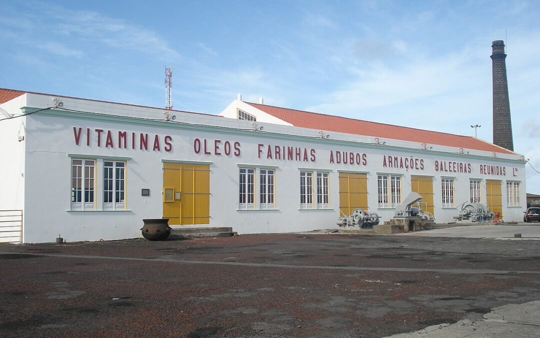 Whaling Industry Museum