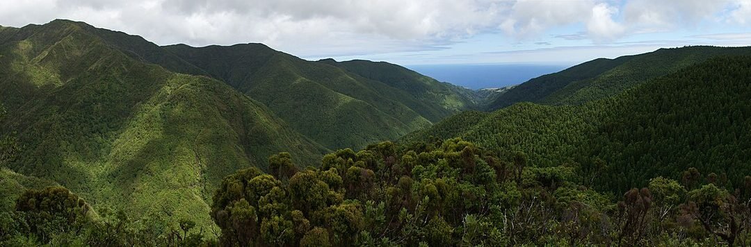 Pico da Vara