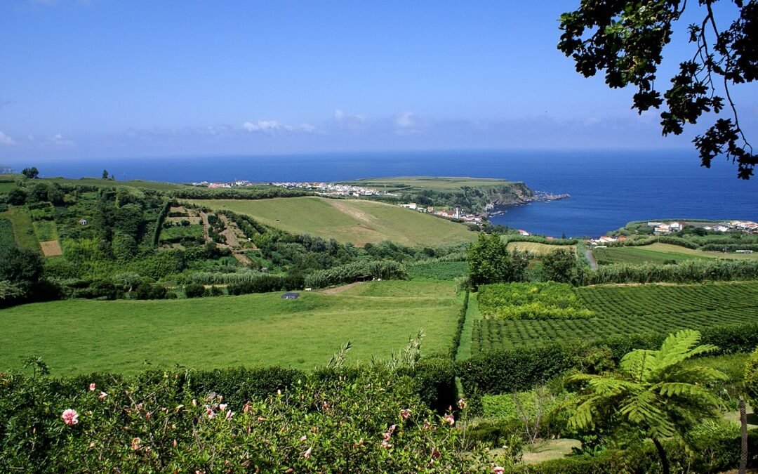 Porto Formoso