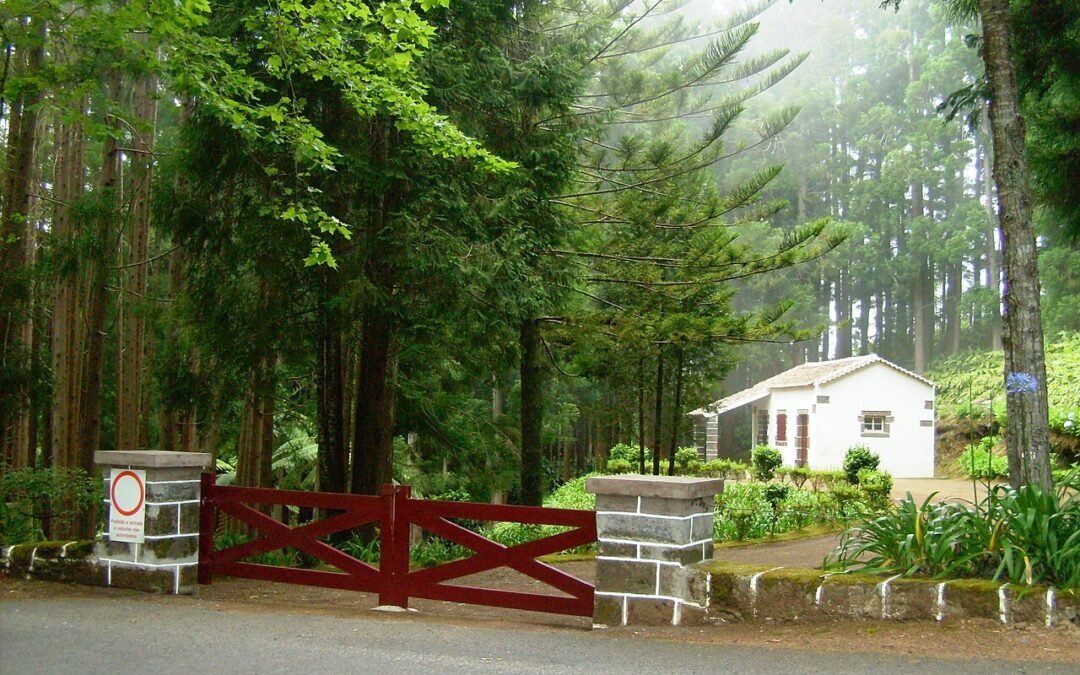 Fontinhas Forest Park