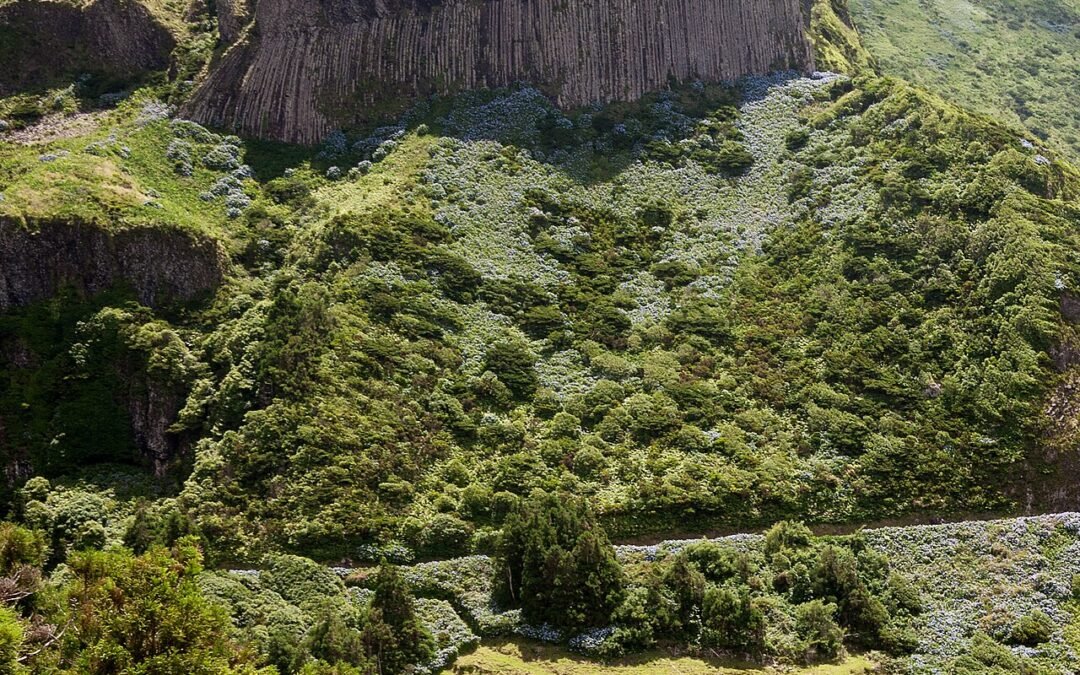 Rocha dos Bordões Viewpoint