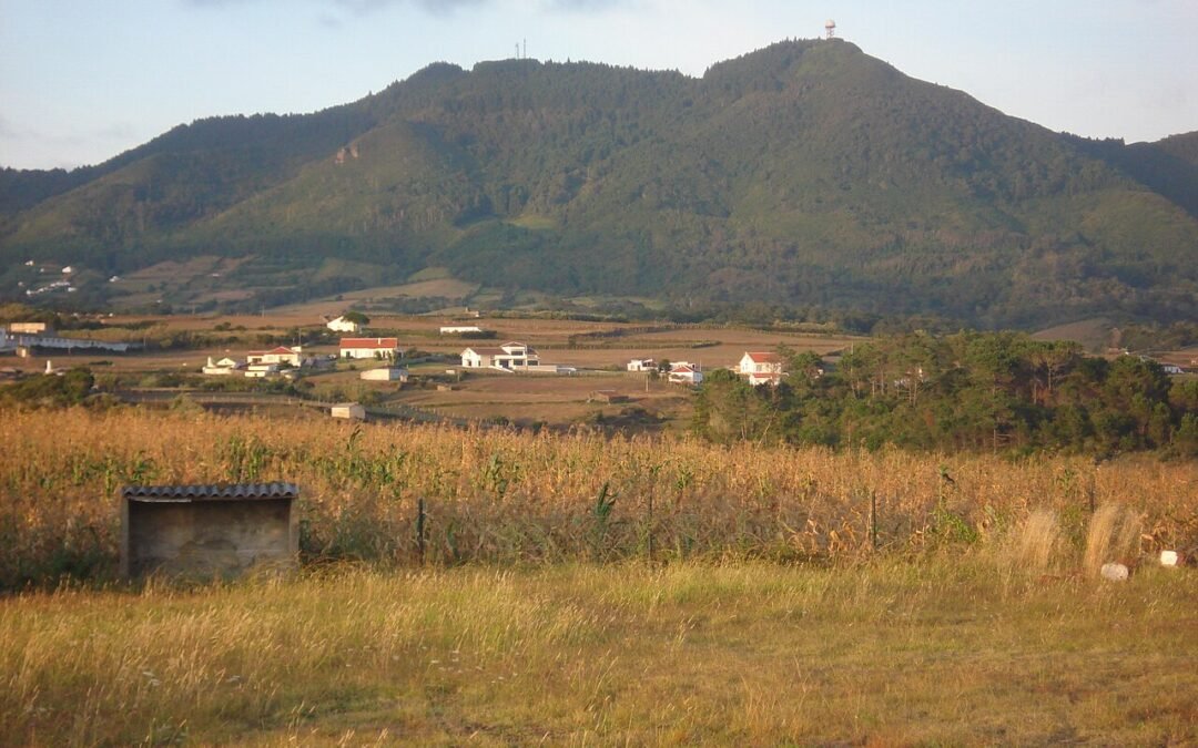Pico Alto