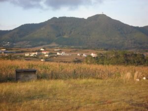 Pico Alto