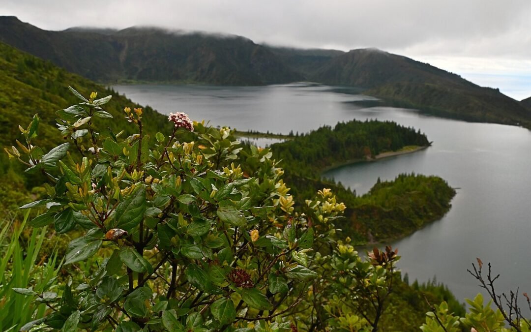 Miradouro da Lagoa do Fogo
