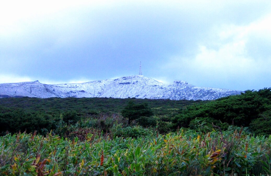 Morro Alto