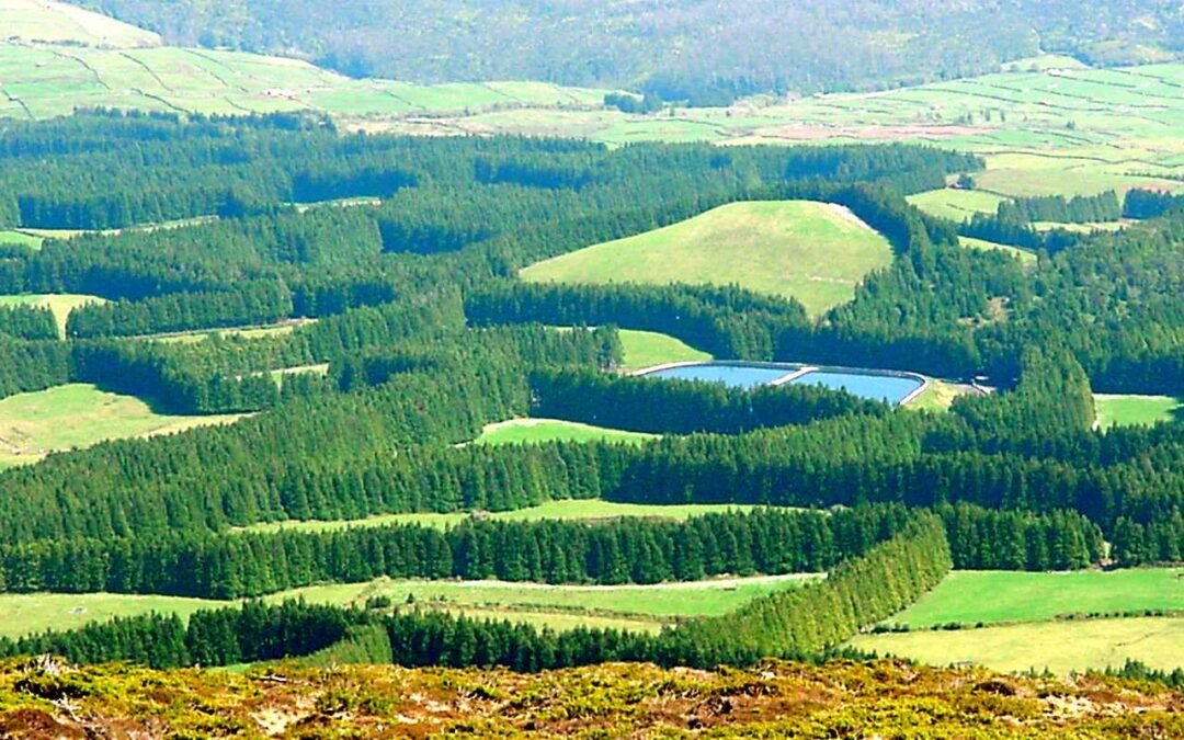 Santa Bárbara