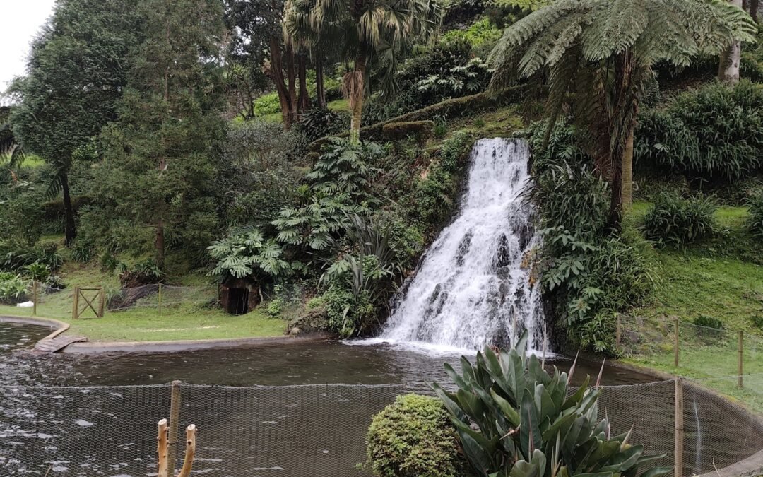 Jardim da Ribeira do Guilherme Waterfall