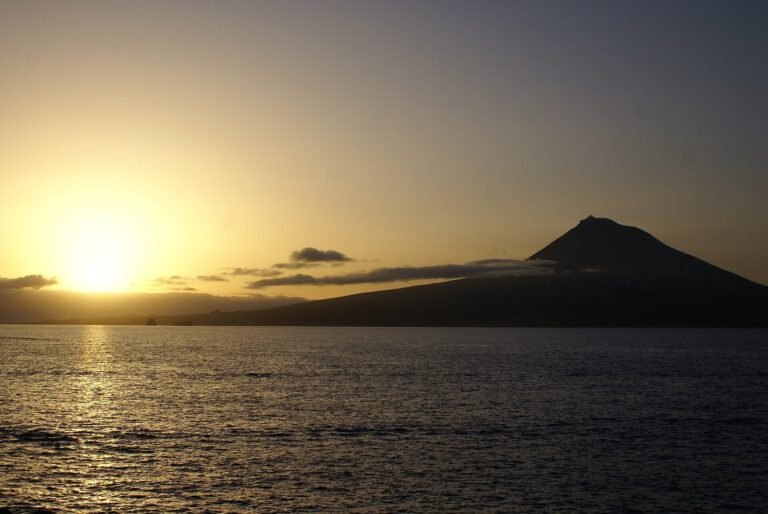 Pico